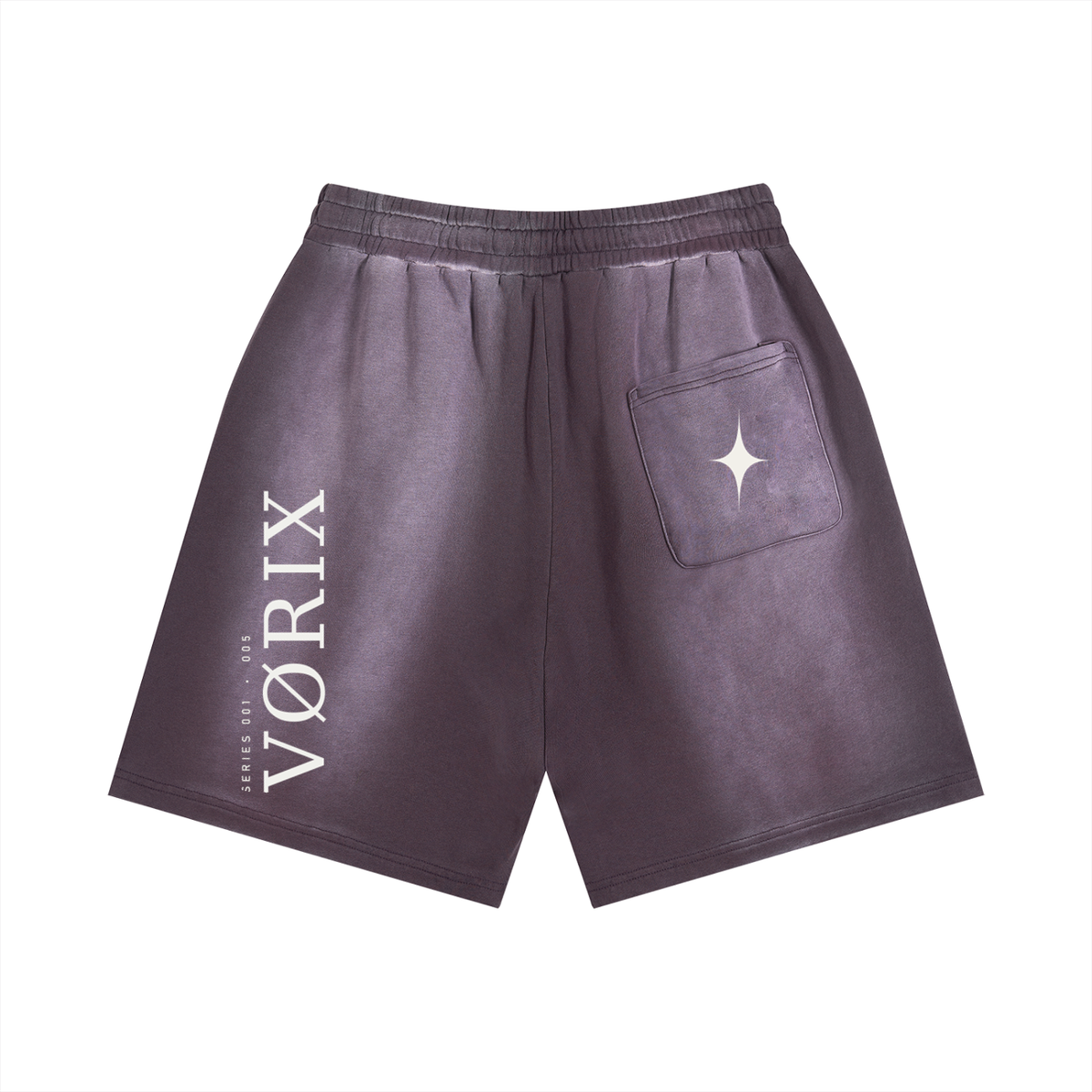VORIX No Limits / 005 sun-faded shorts in Dark Purple, back view